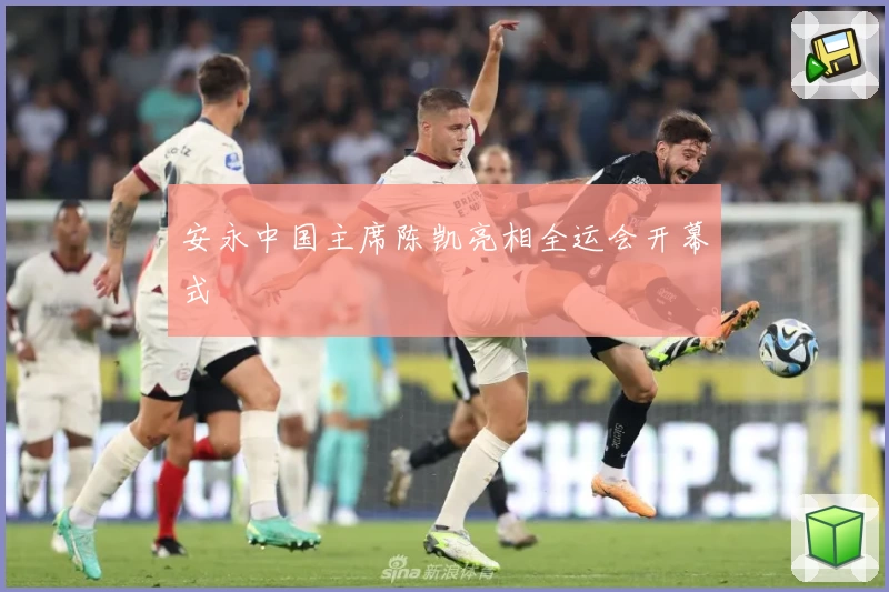 安永中国主席陈凯亮相全运会开幕式