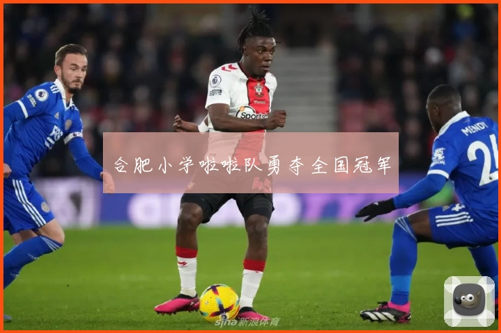 合肥小学啦啦队勇夺全国冠军